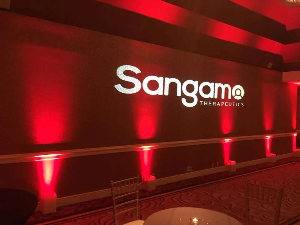 Logo lighting for corporate event