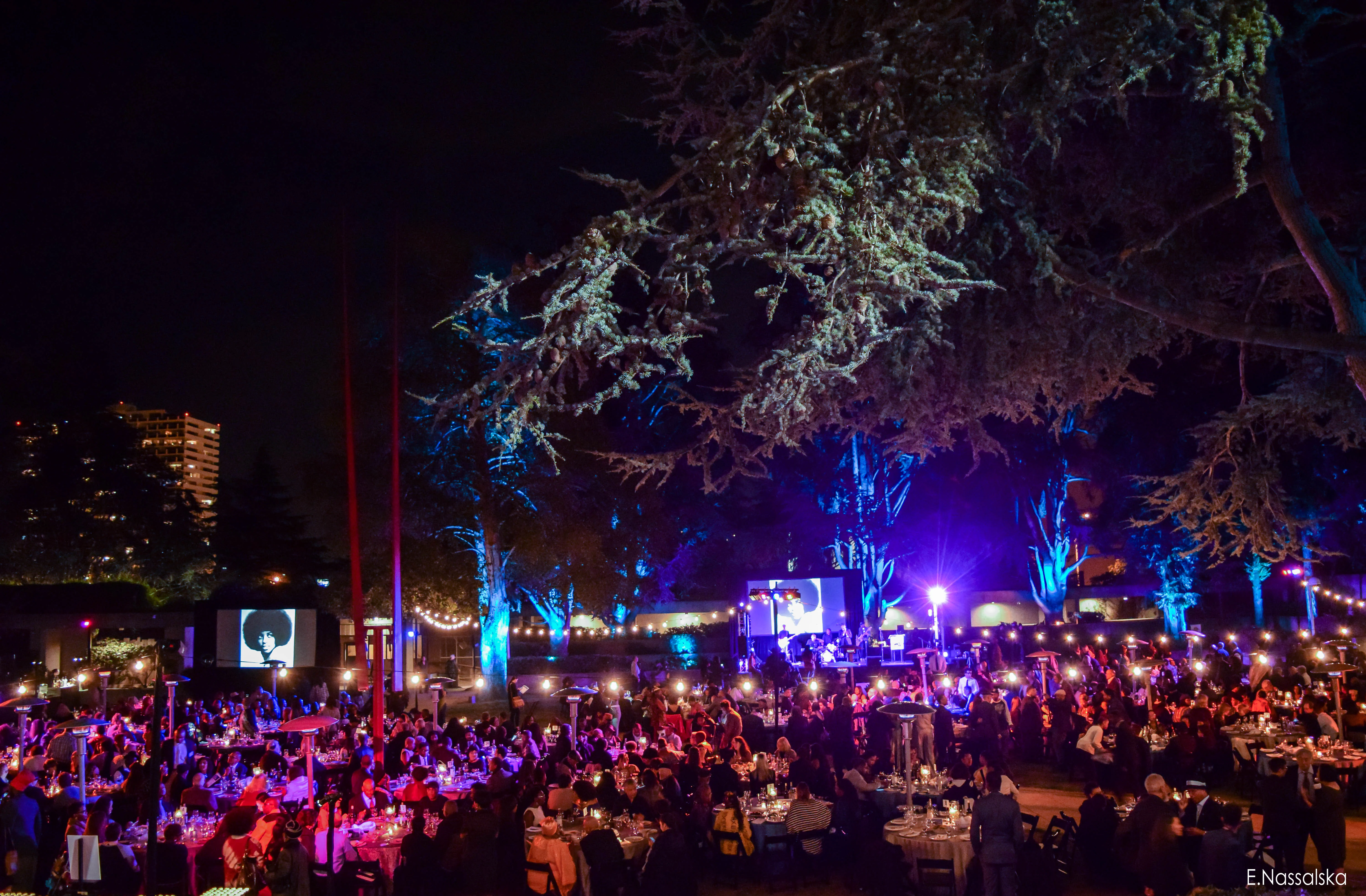 Outdoor tree up lighting and string lighting for dining event